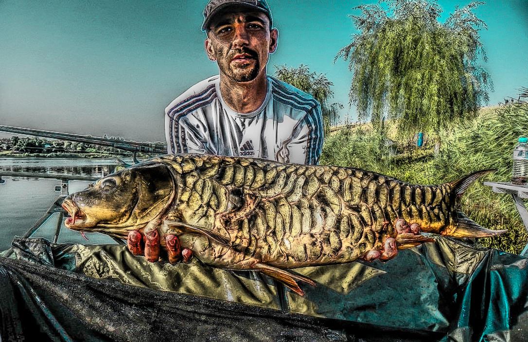 Cupa Verii MV2 - RB Baits - 2013 - 1016126hdrmode2.jpg